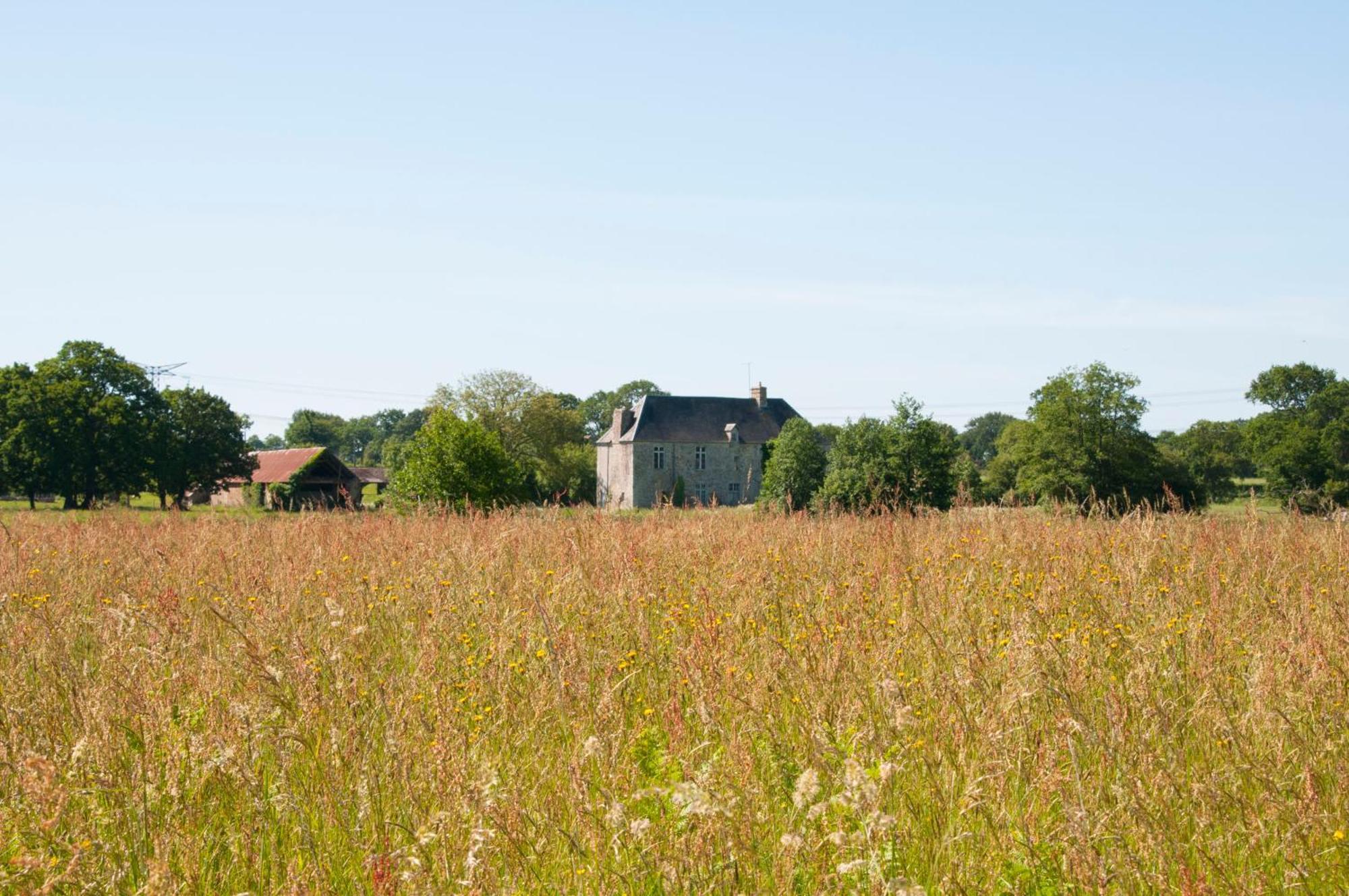 La Maison Des Tilleuls Saint-Germain-Sur-Seves Exteriör bild